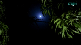 Raaz - Episode 14